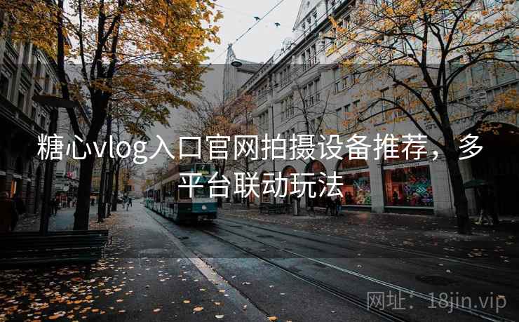糖心vlog入口官网拍摄设备推荐,多平台联动玩法